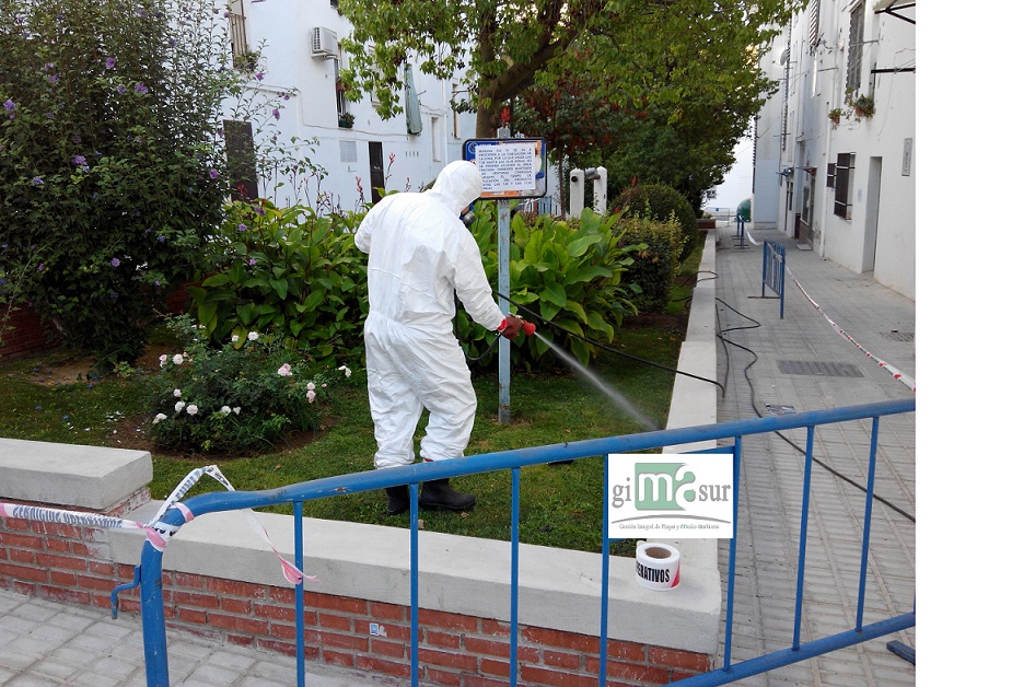 Galería de imágenes